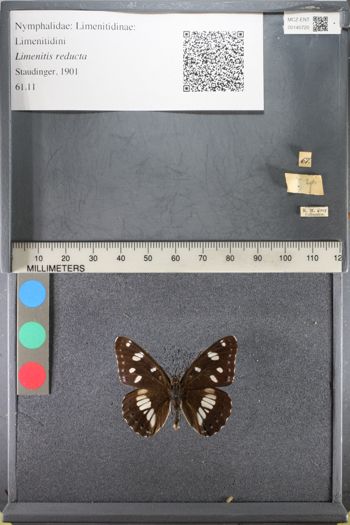 Media type: image;   Entomology 140720